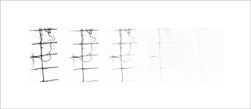 Sequenza temporale, Lecco Neguggio 1987-Costruzione di un paesaggio 2 2007